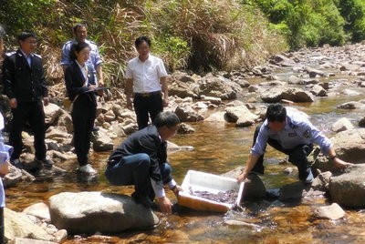 證據(jù)保全，助力大鯢在資溪 “安家”