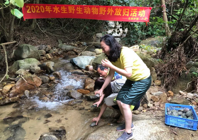 中南公證處為野生動(dòng)物放歸活動(dòng)提供公證服務(wù)