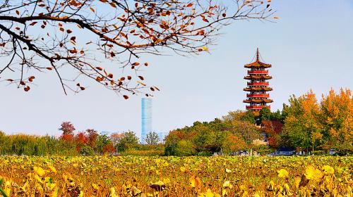 徐州市有外交部認證處嗎？