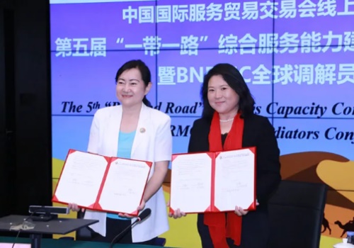 綜合服務(wù)能力建設(shè)論壇（2020）暨BNRMC全球調(diào)解員大會02