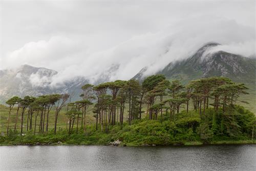 愛(ài)爾蘭駐華大使館學(xué)歷認(rèn)證的流程是什么？