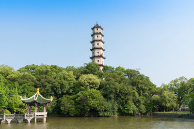 溫州辦理無犯罪記錄公證