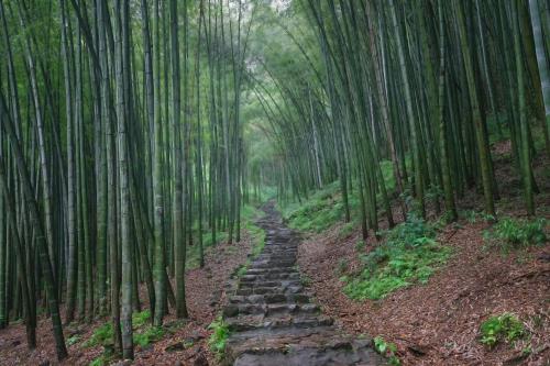 紹興親屬關(guān)系公證認(rèn)證哪里可以辦？