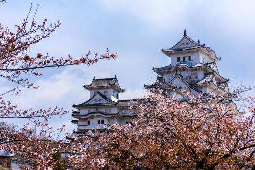 日本駐華大使館可以辦理公證認證嗎？