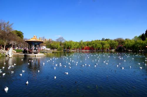 昆明出國(guó)學(xué)歷公證需要多久？